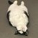 Profile picture of LucPoule
