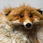 Profile picture of Victor Direnco