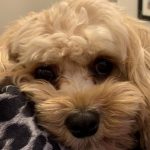 Profile picture of Karen