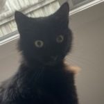 Profile picture of Morgy
