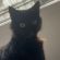 Profile picture of Morgy
