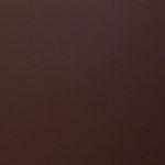 Profile picture of Amelia Smits