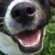 Profile picture of Rachie
