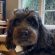 Profile picture of Henry