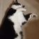 Profile picture of Luan You
