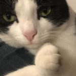 Profile picture of Vicki Cooksley