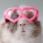 Profile picture of Caroline Micciche