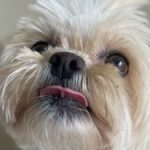 Profile picture of Brittany