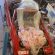 Profile picture of Phildatz