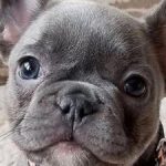 Profile picture of Shelly