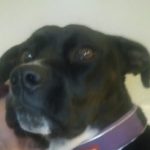 Profile picture of Janine