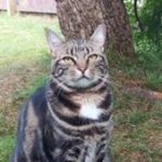 Profile picture of Ashleigh Bearman