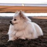 Profile picture of D