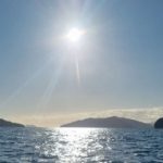 Profile picture of Bonnie