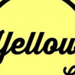 Profile picture of Donna Crean