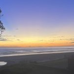 Profile picture of Milly Gollogly