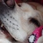 Profile picture of Rylee