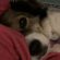 Profile picture of Lorraine M