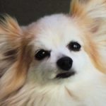 Profile picture of Chrissy Latimer