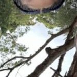 Profile picture of aymanamin