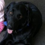 Profile picture of karenb
