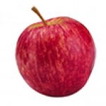 Profile picture of hollytipuna