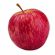 Profile picture of hollytipuna