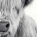 Profile picture of fitchy