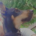 Profile picture of Cinnamon Davies