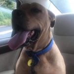 Profile picture of Abby