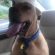 Profile picture of Abby