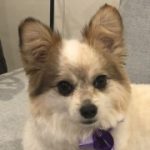 Profile picture of Celeste