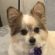 Profile picture of Celeste