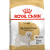 Royal Canin Bichon Frise Adult Dry Dog Food