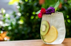 Single-Serve Fresh Fruit Mocktail