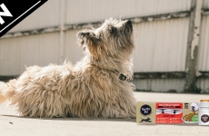 [CLOSED] Review & WIN with Earthz Pet