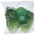 Fresh Produce Lettuce Green Baby Cos