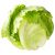 Fresh Produce Lettuce Traditional Iceberg