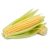 Fresh Produce Sweetcorn Fresh