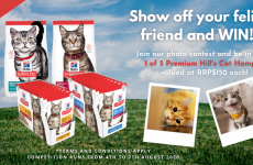 [CLOSED] Hill’s Pet Nutrition Photo Competition