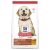Hill’s Science Diet Puppy Large Breed Dry Food