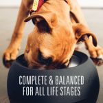 Meat Mates Dog Freeze-Dried Coated Kibble – Ocean Dinner 1.5kg