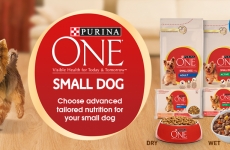 [CLOSED] Purina One Small Dog Review to Win