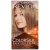 Revlon Colour Silk Hair Colour 60 Dark Ash Blonde