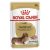Royal Canin Dachshund Wet Dog Food