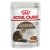 Royal Canin Ageing 12+ in Gravy Wet Cat Food
