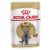 Royal Canin British Shorthair Adult Wet Food