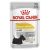 Royal Canin Dermacomfort Loaf Wet Dog Food