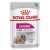 Royal Canin Exigent Loaf Wet Dog Food