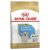 Royal Canin Golden Retriever Puppy Dry Dog Food